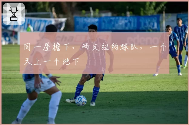 同一屋檐下，两支纽约球队，一个天上一个地下